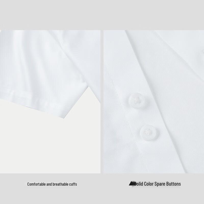 HLA Men's L5 Non-Iron Executive Short Sleeve Shirt