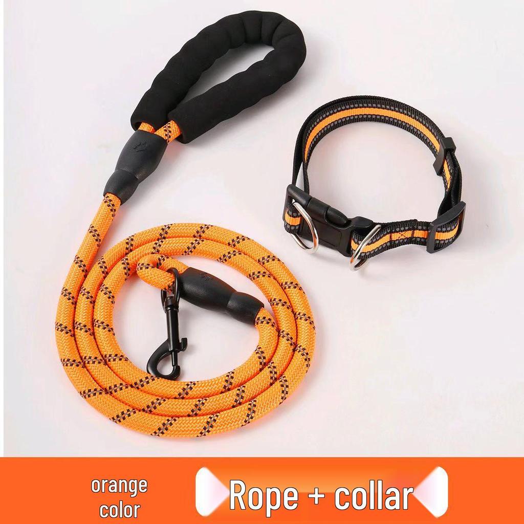 Langlebige Hundeleine für große, mittlere und kleine Rassen - Perfekt für Corgis, Collies, Retriever und Teddys