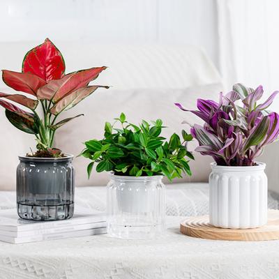 Decoração de casa – Vasos de flores decorativos
