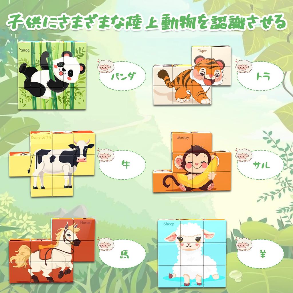 AOMACO Magnetická stavebnice 3D puzzle, 6 témat, 6stranné puzzle, Vzor Devíti paláců, Magnetické kostky, 9dílná sada, Vzdělávací hračka, 3D puzzle, Magnetické