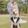 Detachable Design Dog Wedding Costume Two Pieces Dog Formal Shirt Dog Tuxedo Costume  Large Breeds