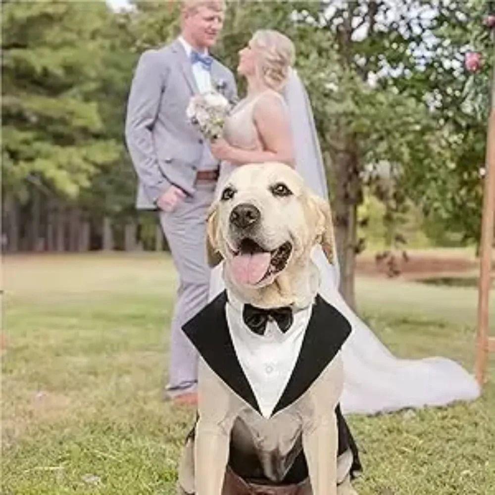 Detachable Design Dog Wedding Costume Two Pieces Dog Formal Shirt Dog Tuxedo Costume  Large Breeds