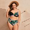 Women's Two-Piece Bikini Set Plus Size Split Swimsuit