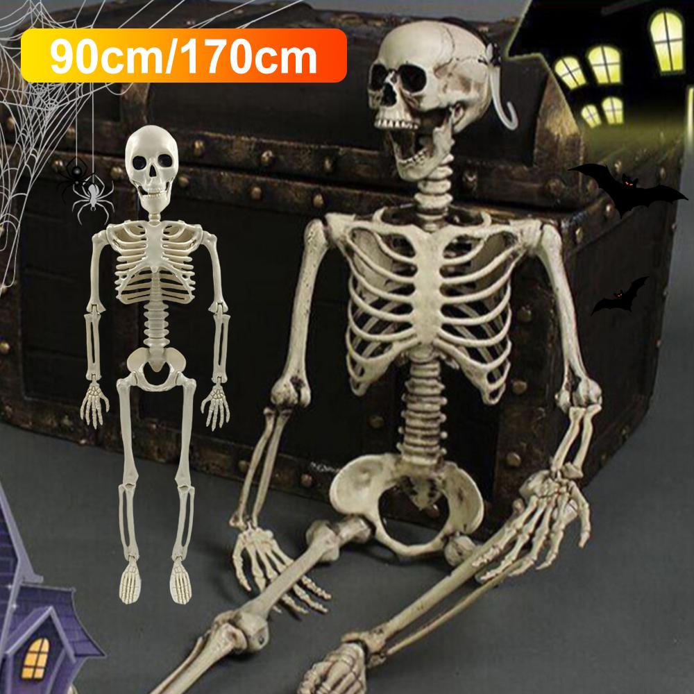 90cm/170cm Halloween Human Shape Skeleton,Posable Skeleton Human Shape Bones Halloween Herror Decor Haunted House Horror Props