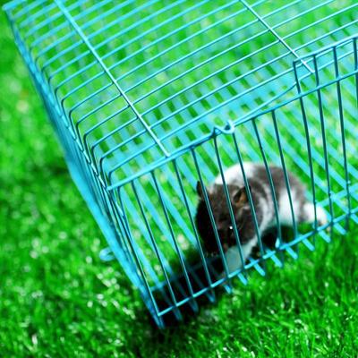 Thick Squirrel & Pet Transport Pillow – Semi-Circular Cage for Hamsters, Rabbits, and Chickens.