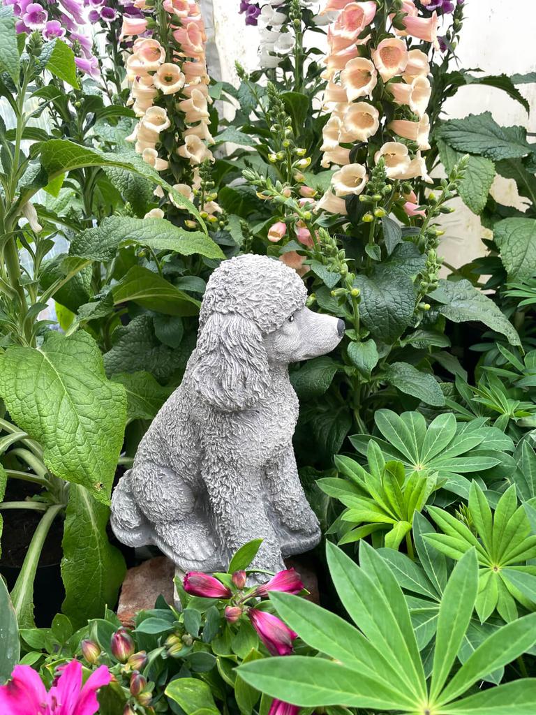 Elegant white poodle concrete mating figure