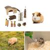 Hamster Chew Toy Cage House Toy Rattan Ball Biting Resistant Rabbit Toy for Small Animal Guinea Pigs Boredom Toy10PCS