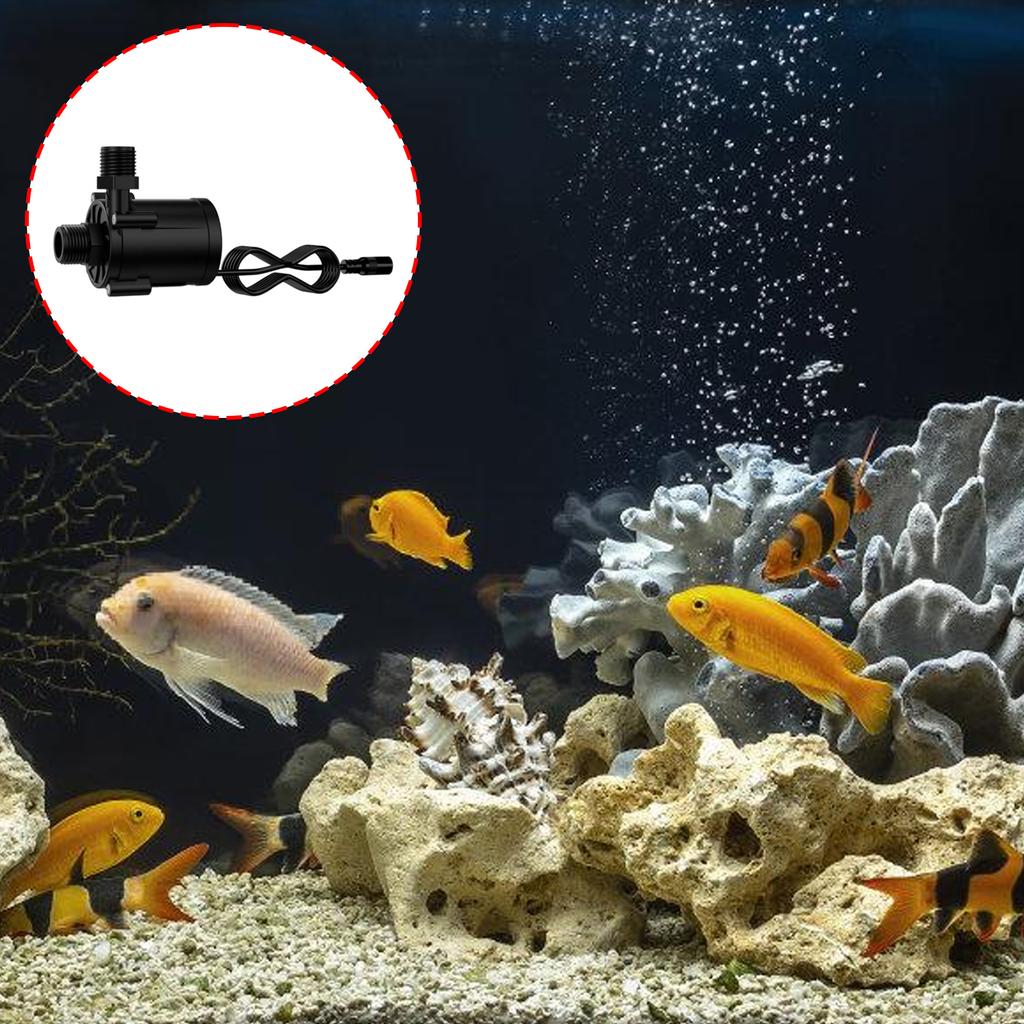 High Efficiency Brushless Water Pump For Fish Tanks MultiVoltage 5V 12V 24V Quiet Operations Booster Pump for Pond