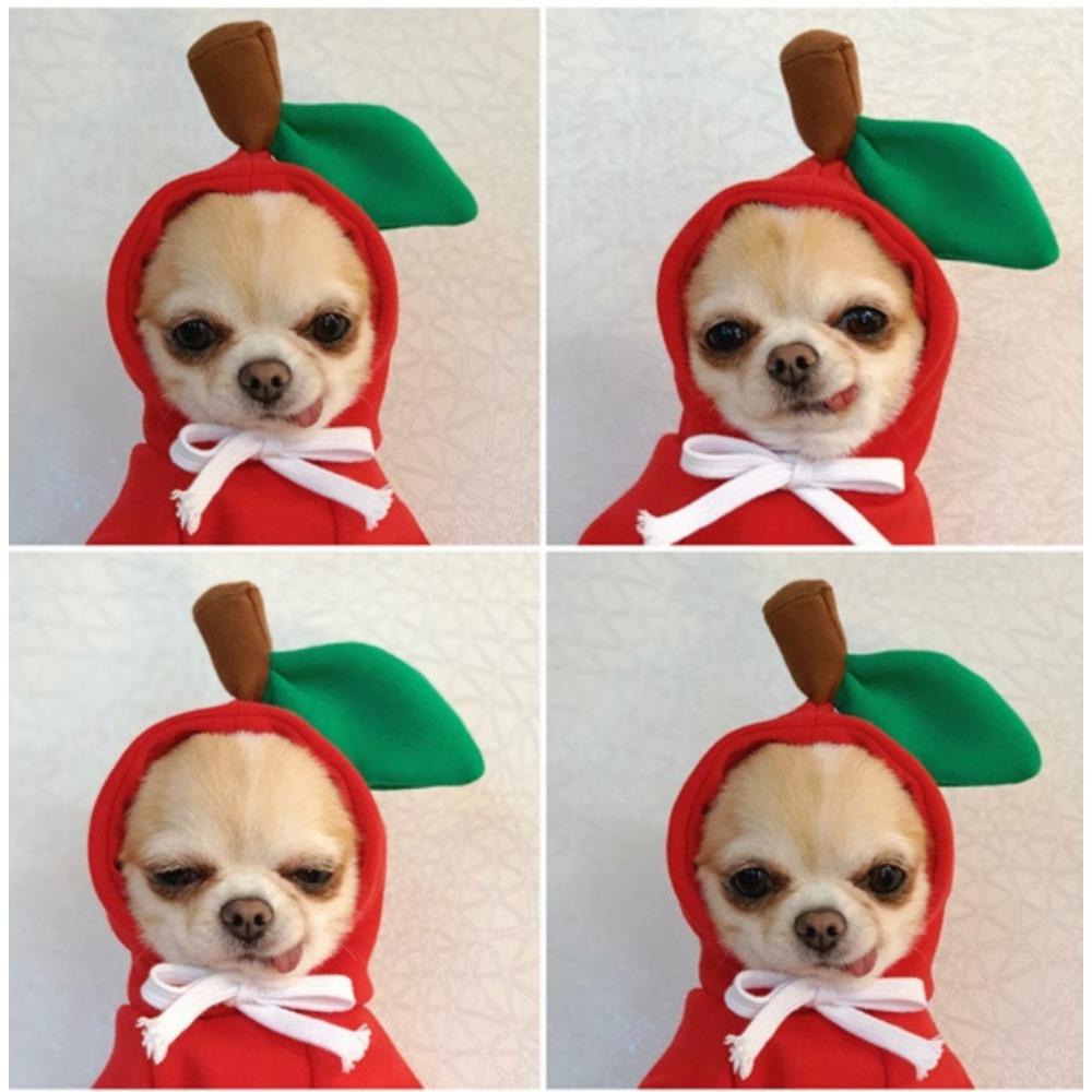 Pet Elk Transformation Dog Cat Small Medium Dog Autumn Winter Sweater Dog Fleece Clothing Cat Supplies Teddy Doo