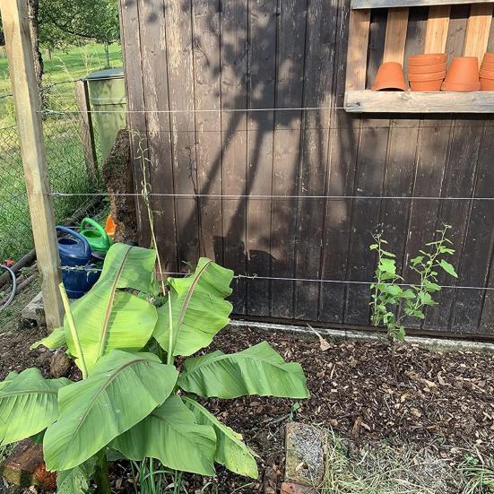 Sada napínače drátu napínáku Pevné Spolehlivé lanko z nerezové oceli Drátěné lano pro závěsná světla Zahradní drát