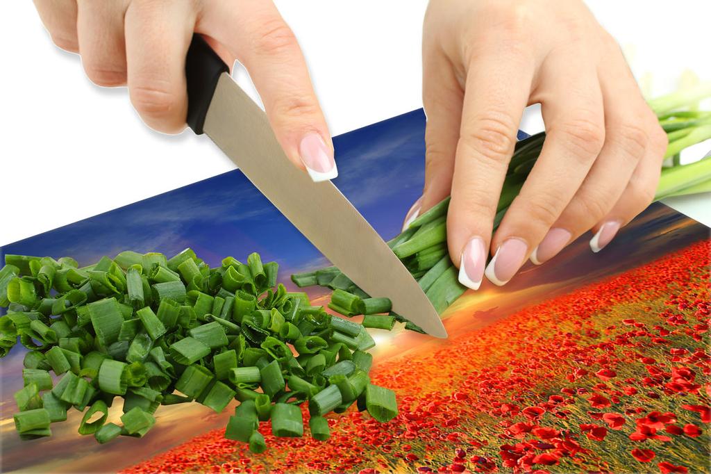 PANNELLO IN VETRO PER CUCINA 60x65 Maki