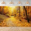 Decorațiuni pentru casă – Tablouri și postere