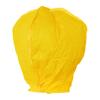 Yousheng 10 Pcs Paper Lanterns Large Chinese Lanterns To Write Messages Miniature Hot Air Balloons for Outdoor Events Celebrations