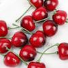 50 Pcs 1 Inch Artificial Red Cherries Foam Simulation Fruit Model Fake Cherry Fruit  Home Decoration