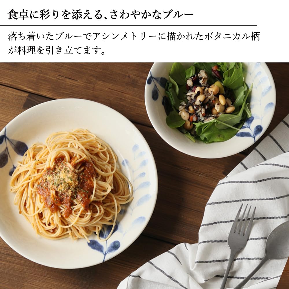 Dolce Duo CG-1576: Set of 5 Curry and Pasta Dishes, Lightweight, Made In Japan