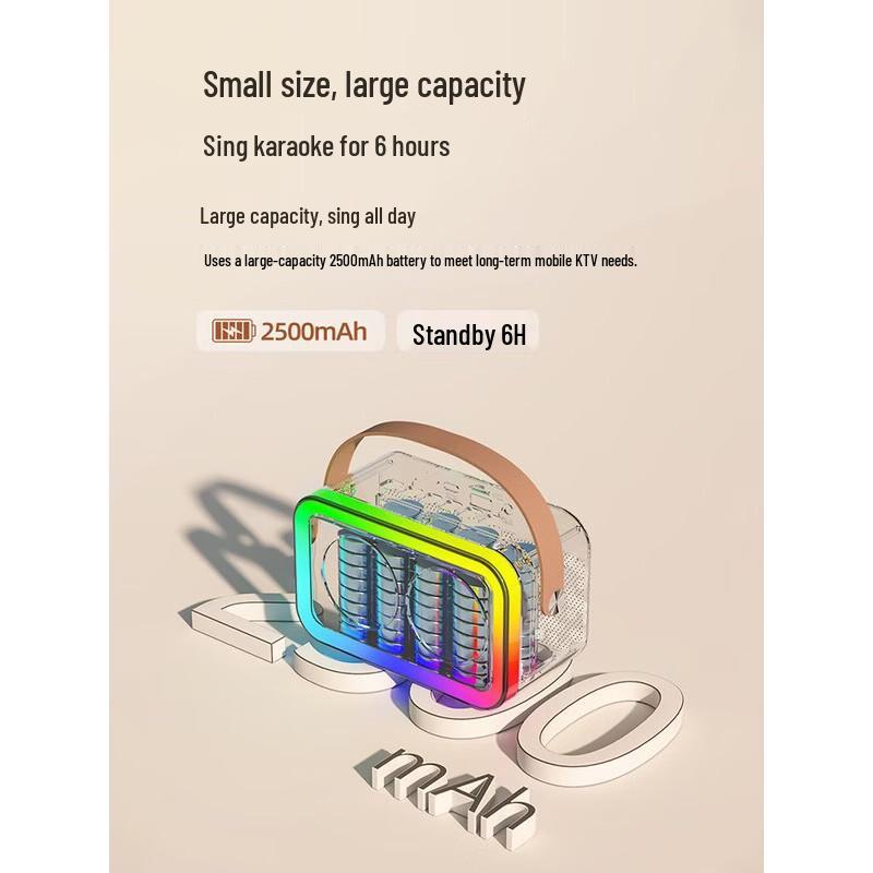 Newmine DP07 Portable Karaoke System with Dual Microphones CN plug (adapter included)