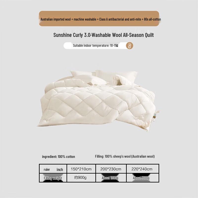 

Mercury Home Textiles Washable Australian Pure Wool Quilt