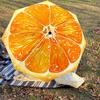 1PC Orange sliceAutomatic Open/Close Umbrella with Windproof, 8-Rib Sturdy Canopy, Durable Ribs, Fashionable Design, Outdoor Accessory, Fun Prin, Holi