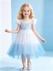 Princess Elsa Lace Dress - Cute & Stylish Short Sleeve for Girls