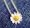 Korean Fashion Imitation Silver Zircon Pendant Necklace for Women