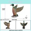 Realistic Plastic Waterfowl Models For Kids Educational Playsets