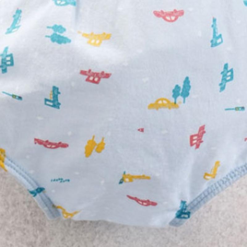 Daiso Boys  Triangle Panties 70