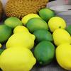 5Pcs Yellow/Green Artificial Fake Lemons Realistic Faux Fruits Photography Props For Home Kitchen Table Decoration