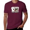 I'm Not a Cat T-Shirt quick-drying sports fans t shirt for men
