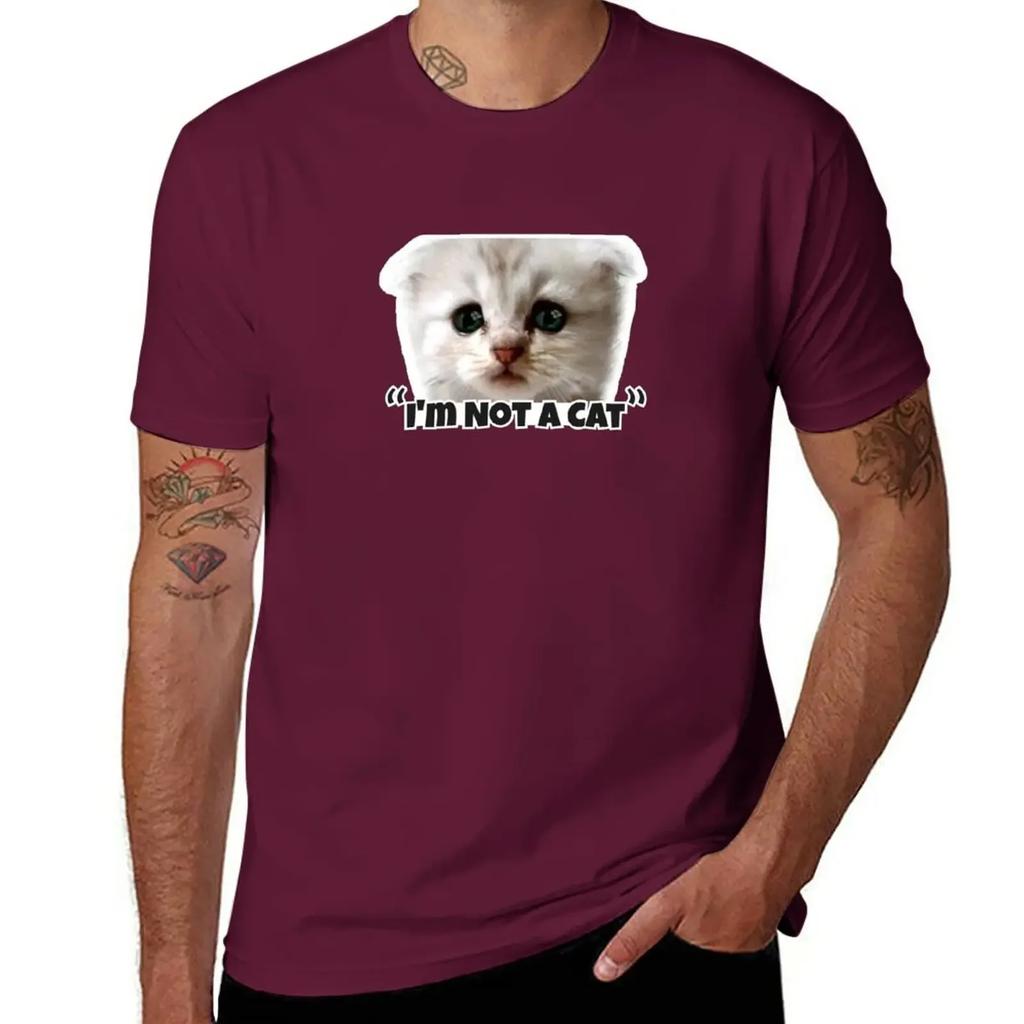 I'm Not a Cat T-Shirt quick-drying sports fans t shirt for men