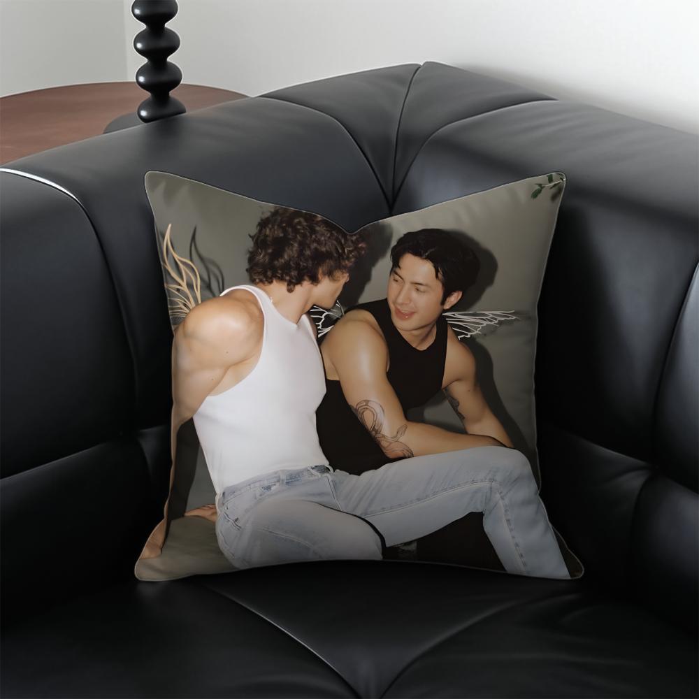 Schöne EEmber und IIce TV CP Cushion Abdeckung Kissenbezug Milbenschutz Unsichtbarer Reißverschluss seidiger Plüsch Kissen
