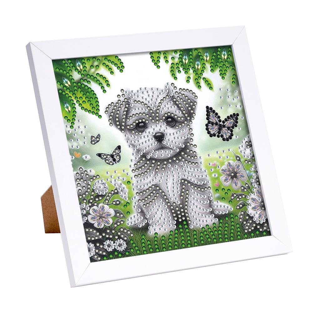 5D DIY Partial Special Shaped Drill Diamond Painting Kit W/ Frame Decor