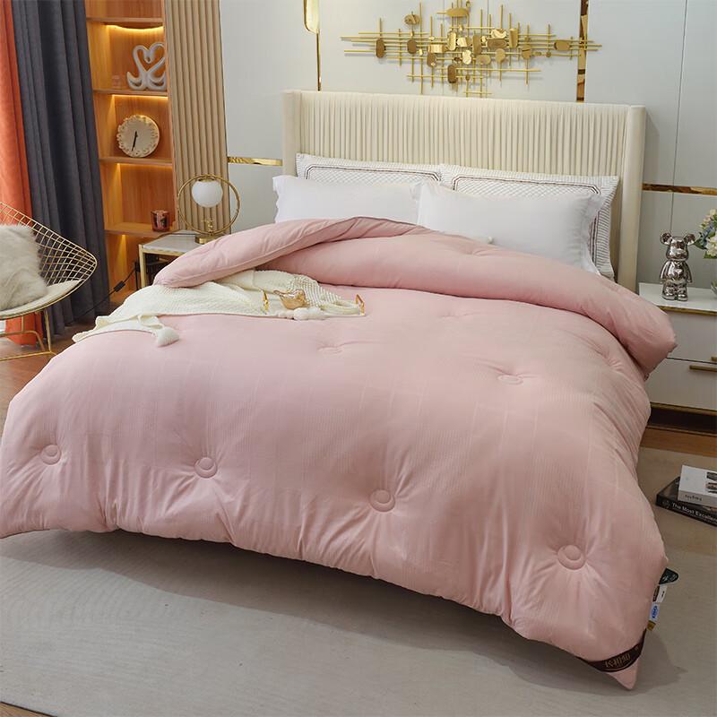 Snow Velvet Thickened Winter Duvet Insert