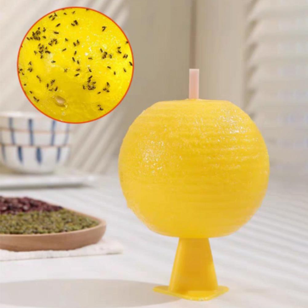 1-5PCS Ball Fruit Fly Catcher Pest Control Sticky Traps 8.2cm Wasp Bee Insect Trap Gnat Traps For Indoor Outdoor Kitchen Plants
