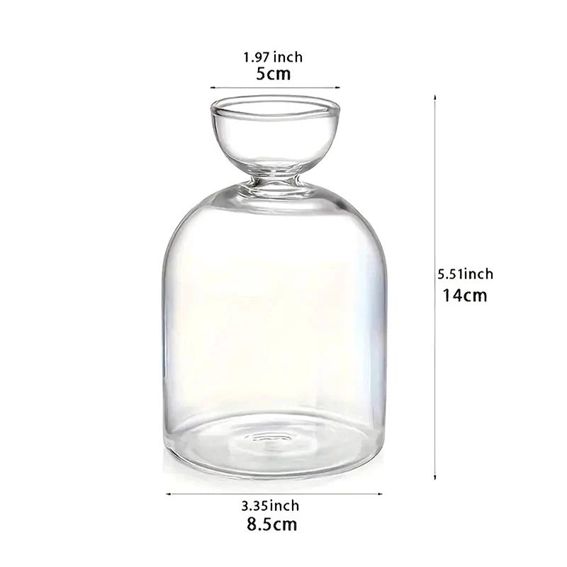 Transparent Glass Avocado Seed Starter Vase Growing Plant Kit - Eco-Friendly Gardening Lovers Gift