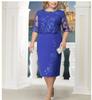 Lace Patchwork Plus Size Dress, Two-Piece Look, Available In Three Colors and Eight Sizes