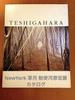 [USED] Third Generation Sogetsu Iemoto Hiroshi Teshigahara Exhibition New York Exhibition Catalogue Art Book