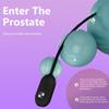 10 Frekvens Silikon Uretral Dilator Hesteøye Stav Vibrator Kateter Penisplugg Sexleketøy for Menn Vibrerende Uretralplugg