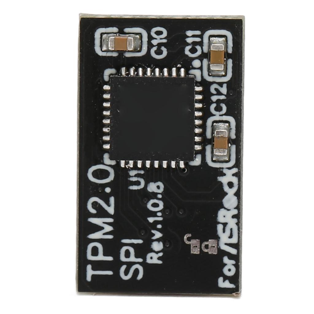 TPM 2.0 Encryption Security Module 14Pin LPC Interface Encryption Security Module for Asrock 14Pin SPI TPM2.0