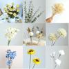 Yunnan Dried & Immortal Flowers Bouquet: Baby's Breath, Roses, Forget-Me-Nots for Home & Homestay Decor
