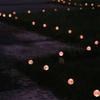 Solar LED Bubble Ball Garden Stake Light - Outdoor Decorative Lamp for Romantic Atmosphere