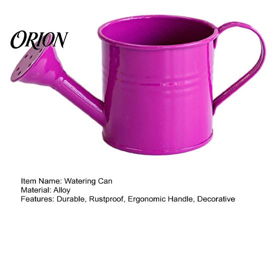 Ergonomic Handle Pouring Tool Metal Watering Can for Outdoor Plants, Small Kettle with Colorful Iron Floral Container Succulents Garden Flowers,