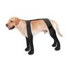 Dog Leggings Rain Suspender Booties Rainwear Puppy Rain Shoes Outdoor Activity