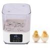 Incubator 6 Eggs   Automatic Poultry    Machine with Temp ature Control for Farm