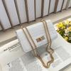 Women's Small Square Bag Trendy Stone Pattern Chain New Spring Fashion Single Shoulder Oblique Span Commuter Armpit