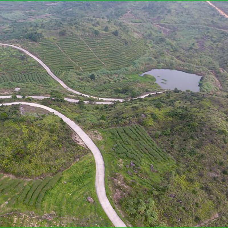 250g Organic Selenium Enriched Handmade Baxian Tea