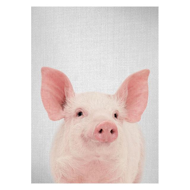 Realistic Furry Animals Cute Prints Poster Canvas Painting Hd Modern Wall Art Pictures For Living Room Bedroom Home Decoration