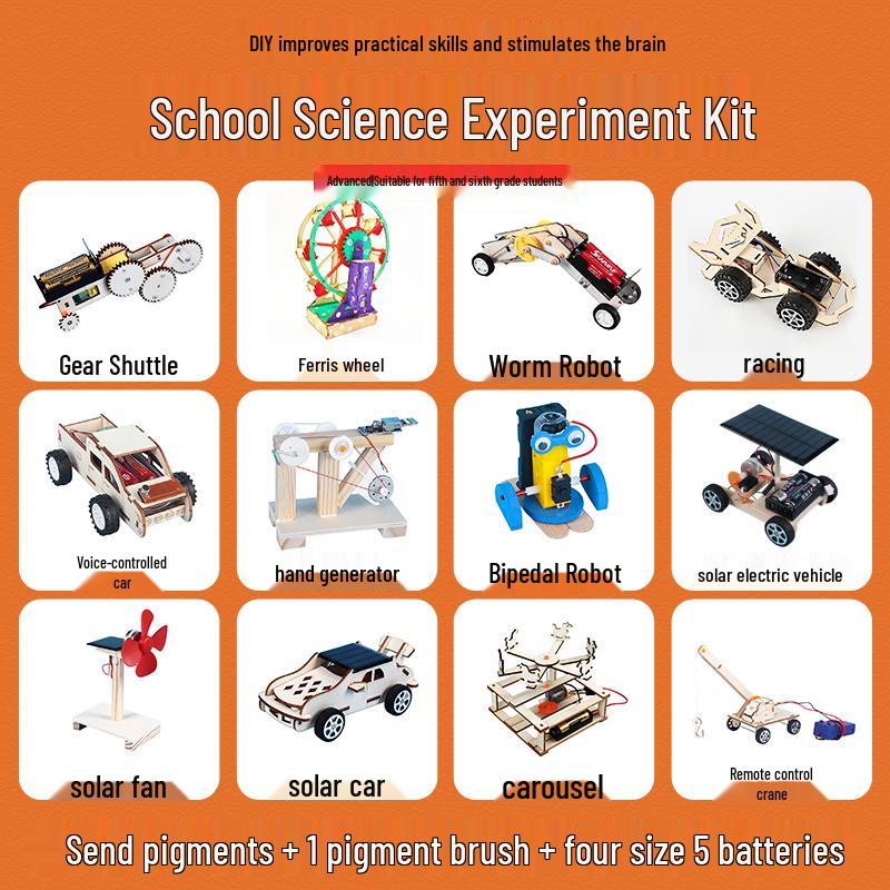 Elementary Science Experiment Wooden DIY Kit - Educational Toys
