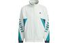 Herren Adidas WORDING Jacken & Mäntel Unisex Grün
