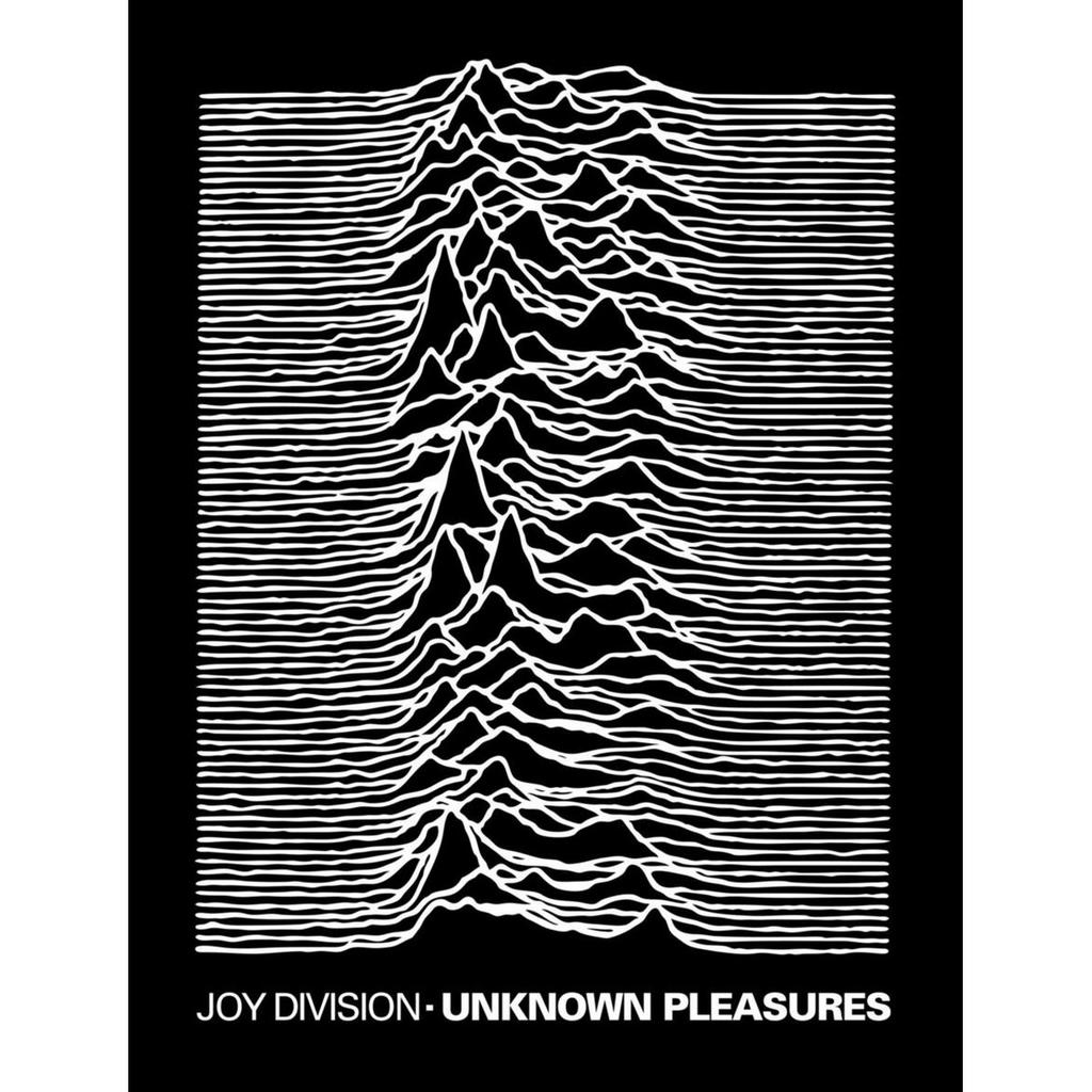 Joy Division Unknown Pleasures Sherpa Fleece Blanket