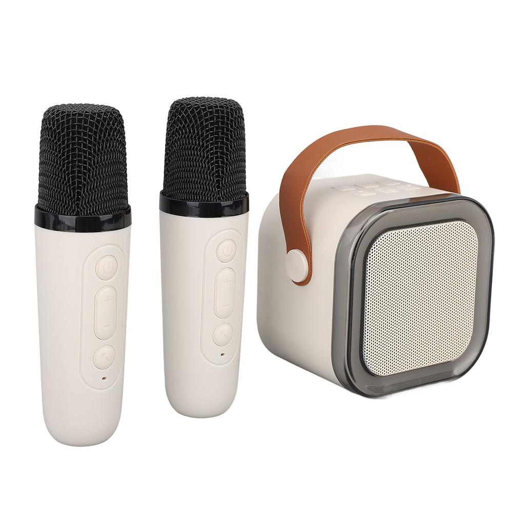 Tragbare Karaoke-Maschine Hervorragende Klangqualität Drahtloser Bluetooth-Lautsprecher mit 2 Mikrofonen für